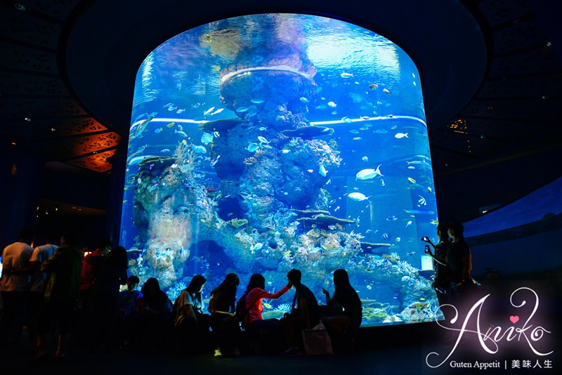 【新加坡自由行】5天4夜新加坡自由行。新加坡名勝世界S.E.A.海洋館。全世界最大的海洋館！來聖淘沙必訪