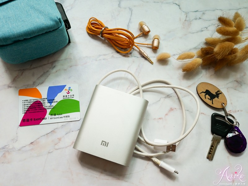 【旅行小物】泰瑞莎USB外接充電包。出國必備收納小物！行動電源與3C配件用品收納包推薦