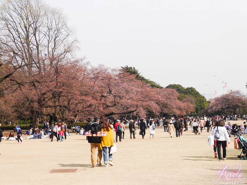 【東京賞櫻】新宿御苑。東京人最愛的賞櫻景點！來場浪漫的野餐吧