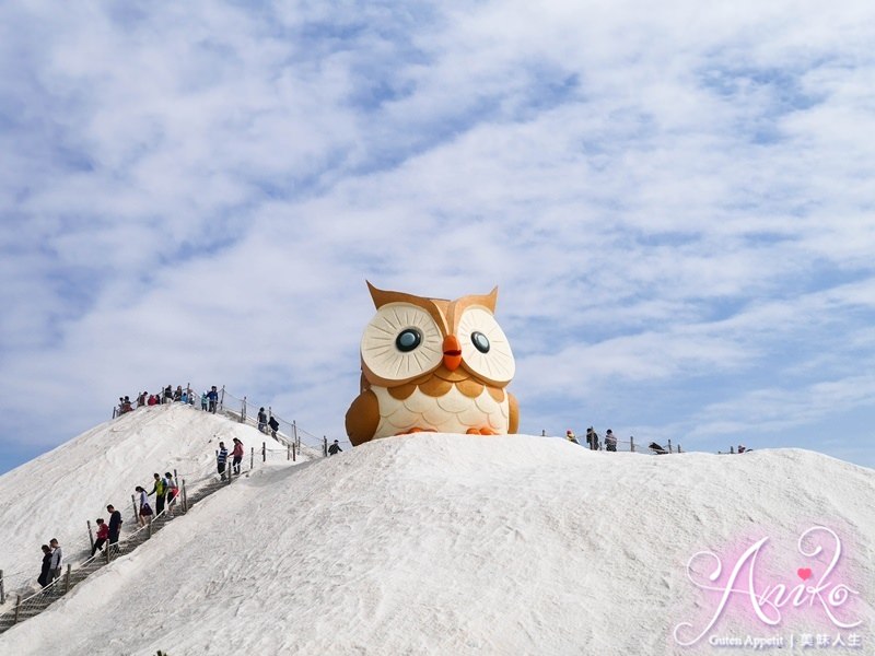 【台南旅遊】七股鹽山。雪地上出現超萌巨大貓頭鷹！陪大家一起過年
