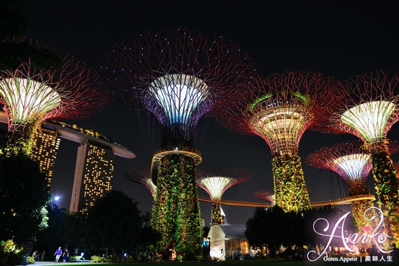 【新加坡自由行】5天4夜新加坡自由行~濱海灣花園。猶如電影阿凡達場景！科幻不思議的絕美超級樹